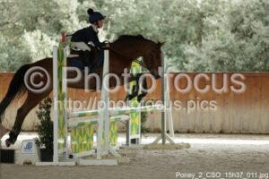 Poney_2_CSO_15h37_011.jpg