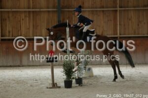Poney_2_CSO_15h37_012.jpg