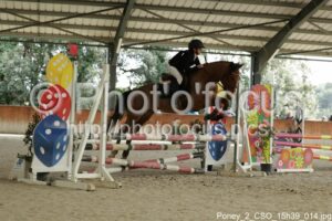 Poney_2_CSO_15h39_014.jpg