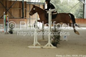 Poney_2_CSO_15h39_016.jpg