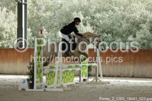 Poney_2_CSO_15h41_023.jpg