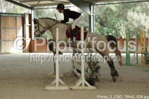 Poney_2_CSO_15h43_028.jpg