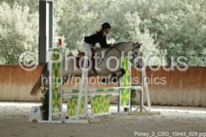 Poney_2_CSO_15h43_029.jpg