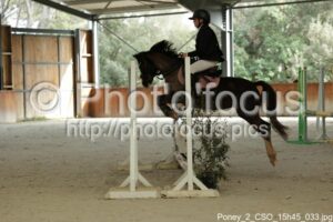 Poney_2_CSO_15h45_033.jpg