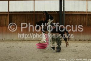 Poney_2_CSO_15h46_035.jpg