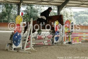 Poney_2_CSO_15h47_037.jpg