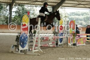 Poney_2_CSO_15h49_041.jpg