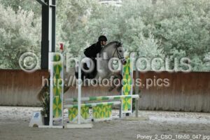 Poney_2_CSO_16h50_047.jpg