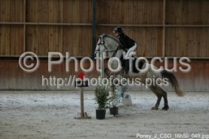 Poney_2_CSO_16h50_049.jpg