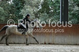 Poney_2_CSO_16h51_052.jpg