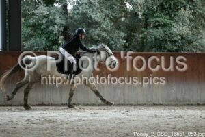 Poney_2_CSO_16h51_053.jpg