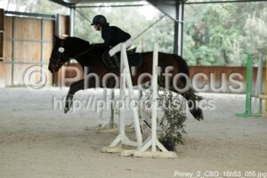 Poney_2_CSO_16h53_055.jpg