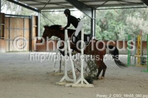 Poney_2_CSO_16h55_060.jpg