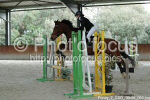 Poney_2_CSO_16h56_063.jpg