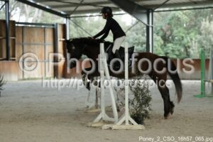 Poney_2_CSO_16h57_065.jpg