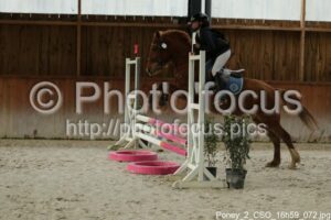 Poney_2_CSO_16h59_072.jpg