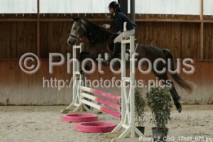 Poney_2_CSO_17h01_076.jpg