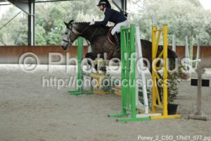 Poney_2_CSO_17h01_077.jpg