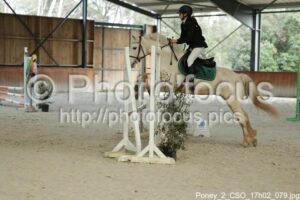 Poney_2_CSO_17h02_079.jpg
