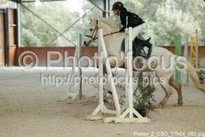 Poney_2_CSO_17h04_082.jpg