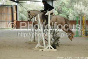 Poney_2_CSO_17h08_091.jpg