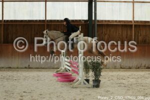 Poney_2_CSO_17h09_094.jpg