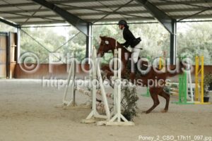 Poney_2_CSO_17h11_097.jpg