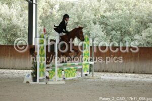 Poney_2_CSO_17h11_098.jpg