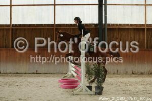 Poney_2_CSO_17h11_100.jpg