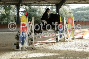 Poney_2_CSO_17h12_102.jpg