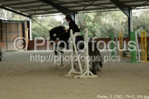 Poney_2_CSO_17h12_103.jpg