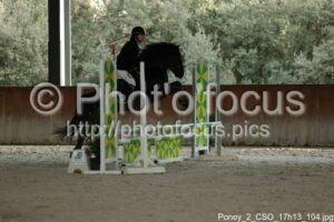 Poney_2_CSO_17h13_104.jpg
