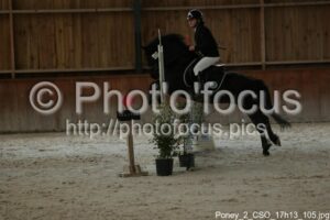 Poney_2_CSO_17h13_105.jpg