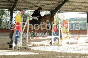 Poney_2_CSO_17h14_108.jpg
