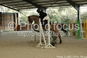 Poney_2_CSO_17h14_109.jpg