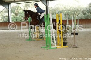 Poney_2_CSO_17h17_117.jpg