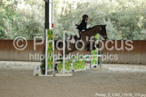 Poney_2_CSO_17h18_119.jpg
