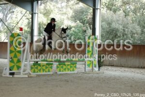Poney_2_CSO_17h25_135.jpg