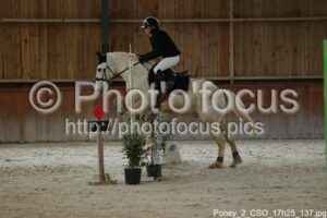 Poney_2_CSO_17h25_137.jpg