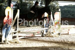 Poney_2_CSO_17h28_144.jpg