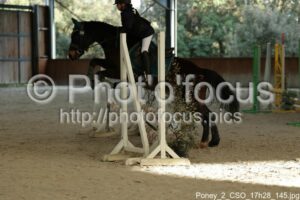 Poney_2_CSO_17h28_145.jpg