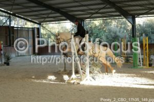Poney_2_CSO_17h35_149.jpg