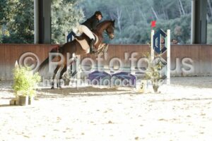 Poney_2_CSO_17h38_155.jpg