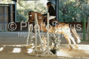 Poney_2_CSO_17h39_158.jpg