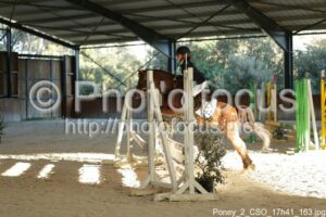 Poney_2_CSO_17h41_163.jpg