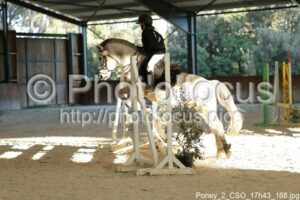 Poney_2_CSO_17h43_168.jpg