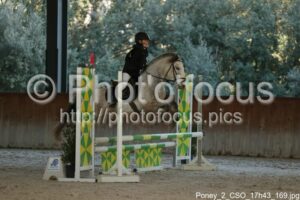 Poney_2_CSO_17h43_169.jpg