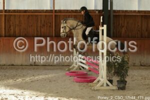 Poney_2_CSO_17h44_171.jpg