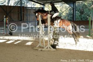 Poney_2_CSO_17h45_172.jpg