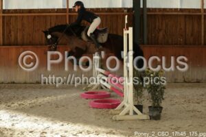 Poney_2_CSO_17h45_175.jpg